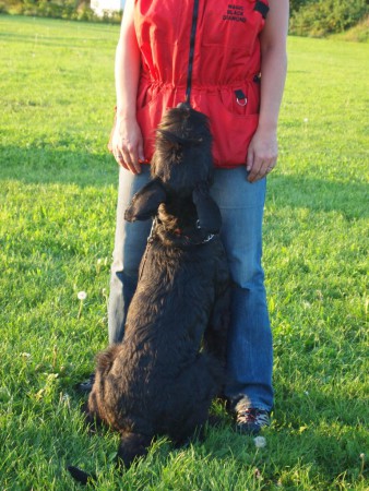 Bártík říjen 2013